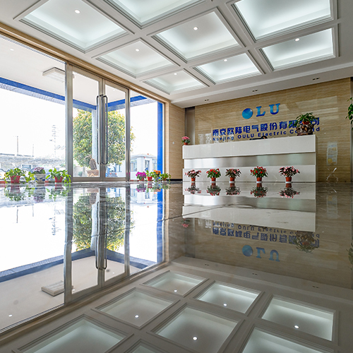 小型風(fēng)力發(fā)電機(jī)哪家買用得久？實(shí)力廠家南京歐陸電氣有話說