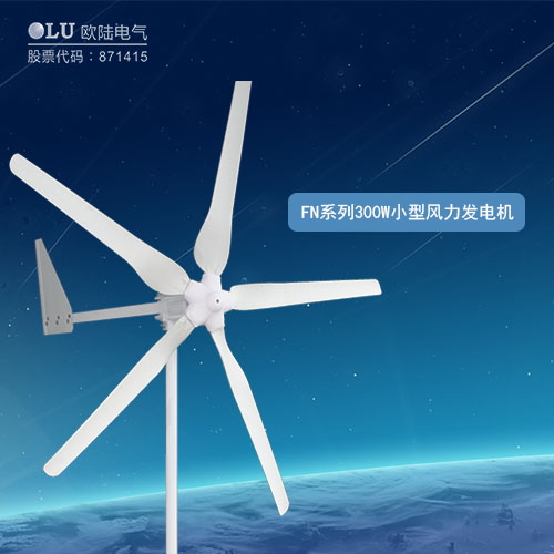 FN系列300W小型風(fēng)力發(fā)電機(jī)